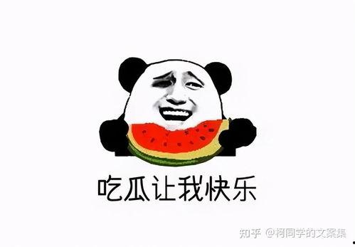 娱乐吃瓜酱不冷战